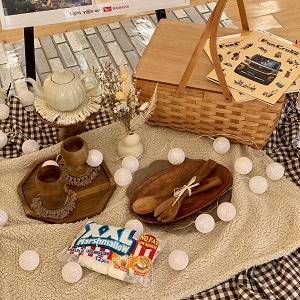 picnic